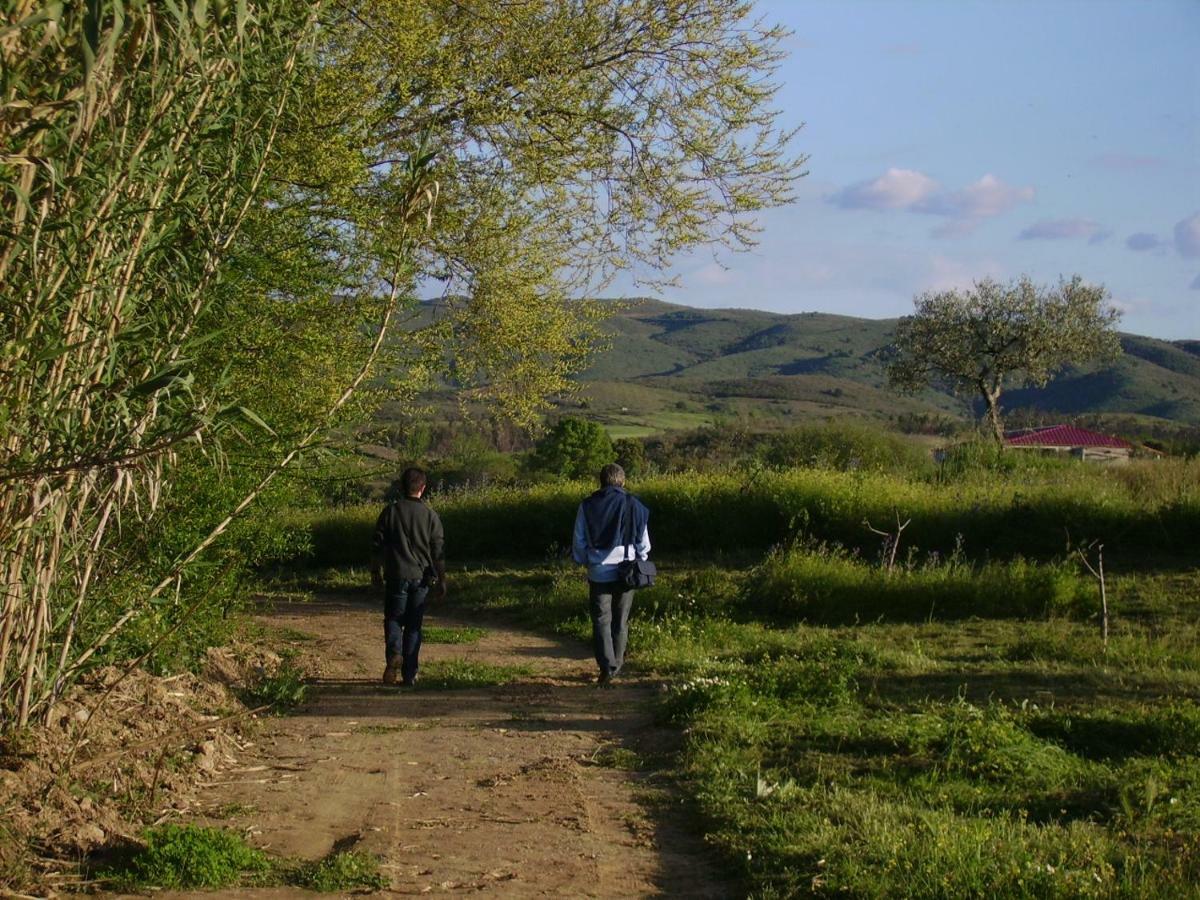 Quinta Do Barracao Da Vilarica Lodoes Luaran gambar